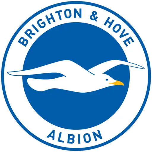 AFC Brighton – Amex Stadium