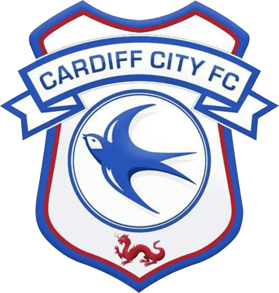 Cardiff City – Cardiff City Stadium